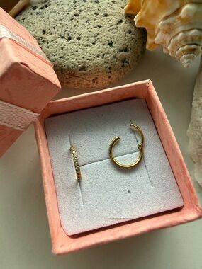 Implant Grade Titanium Gold PVD Pave White CZ Hoop Hinged Clicker Earrings